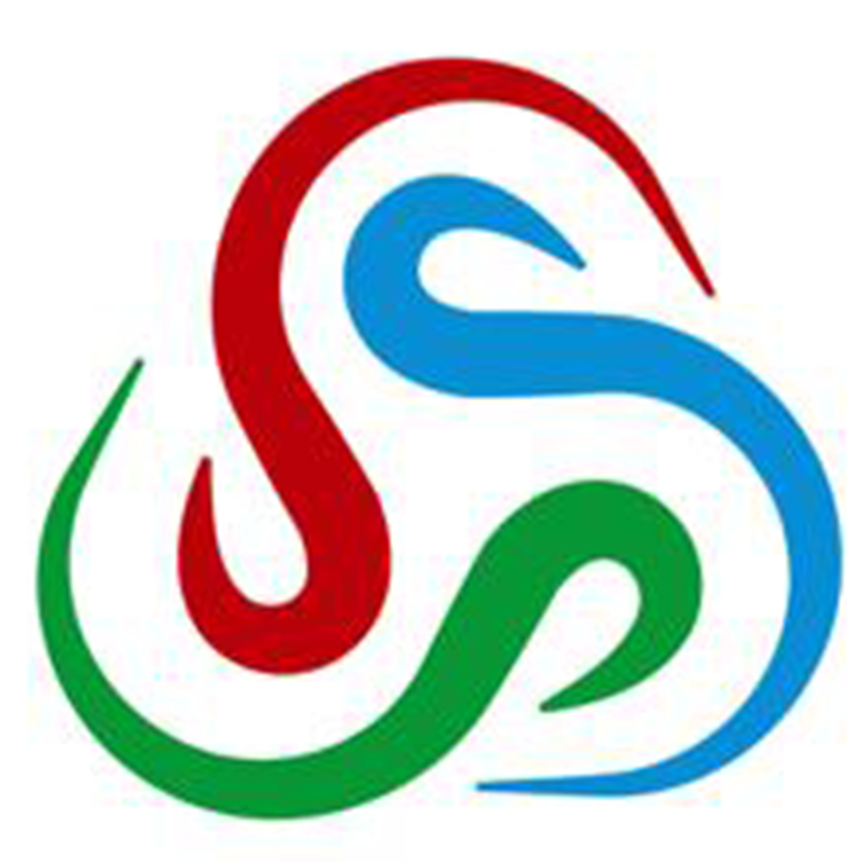 SSSPlacement Consultants